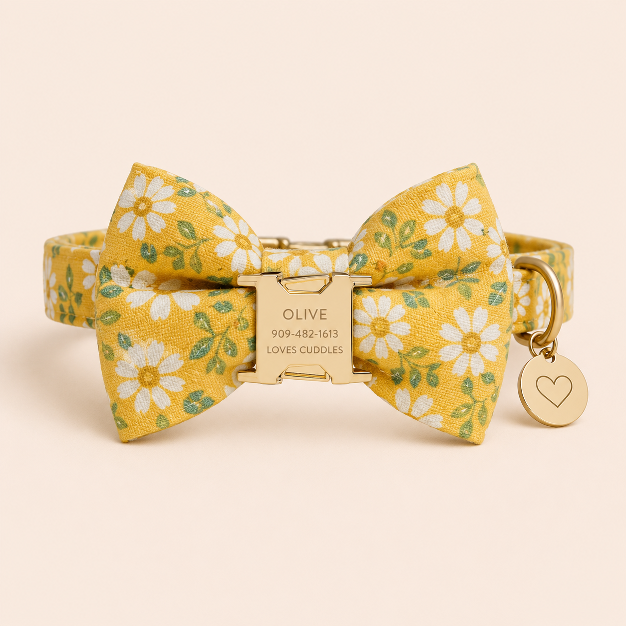BOWS