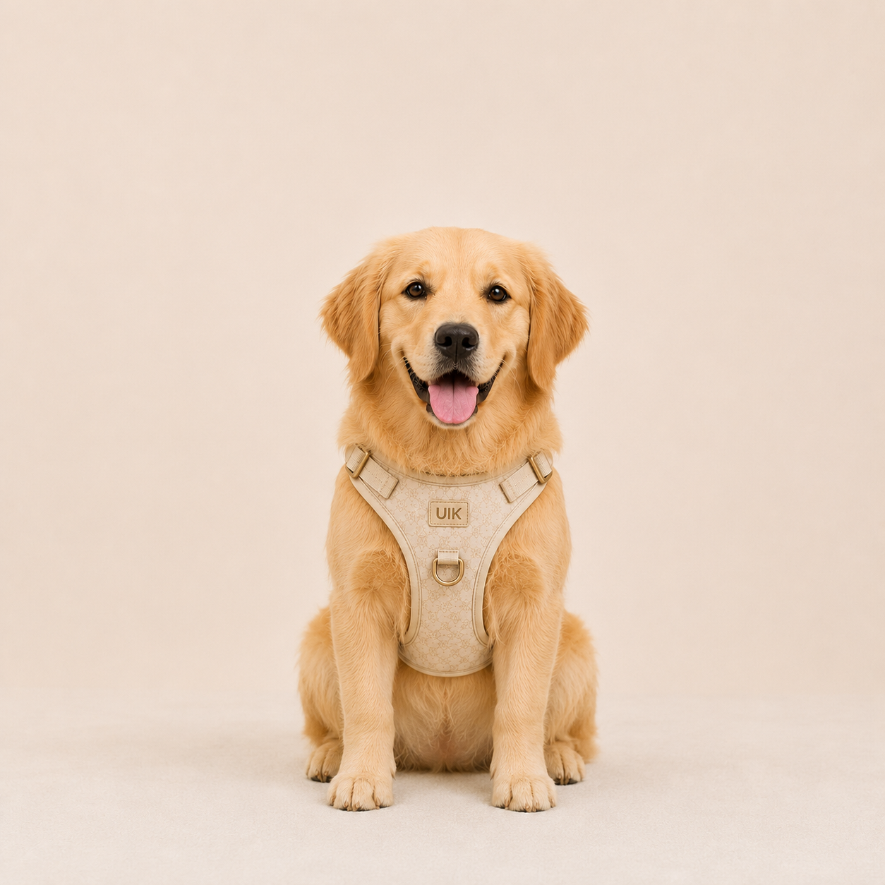PET HARNESS