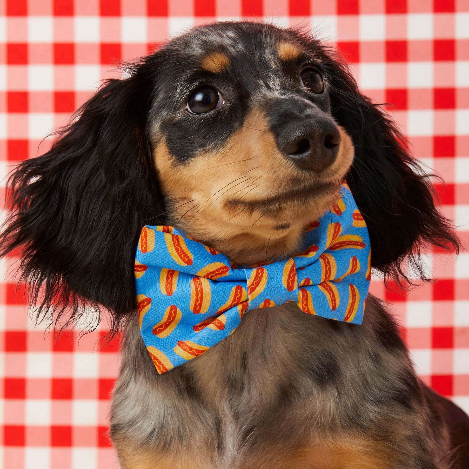 Crisp Apple Dog Bandana